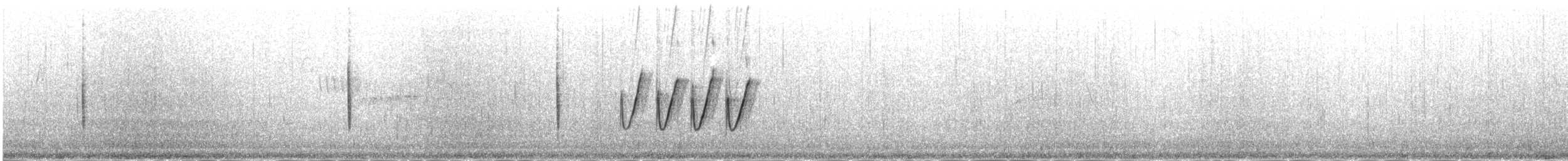 עלווית כהה - ML646341954