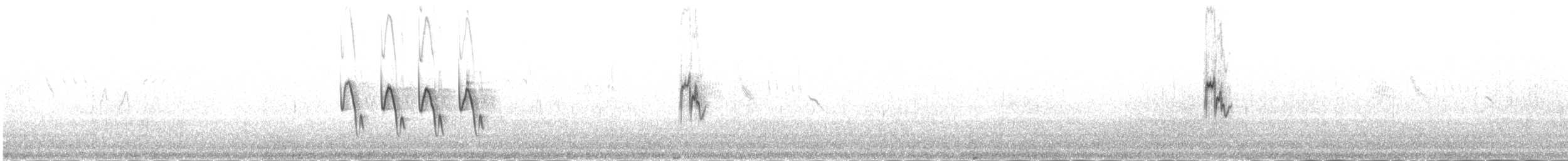 עלווית כהה - ML646341955