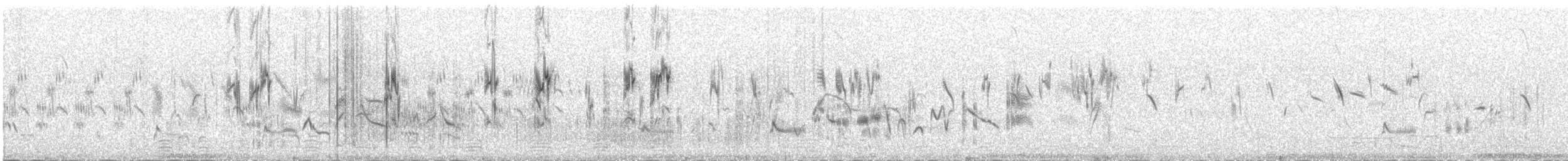 Water Pipit (Blakiston's) - ML646342119