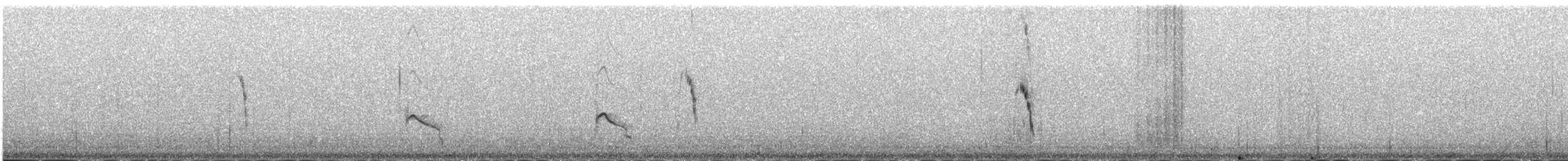 黃頭鶺鴒(citreola/werae) - ML646342136