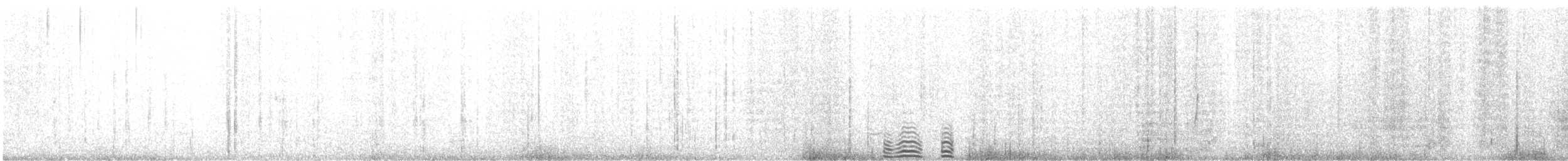 Mongolian Gull - ML646342206