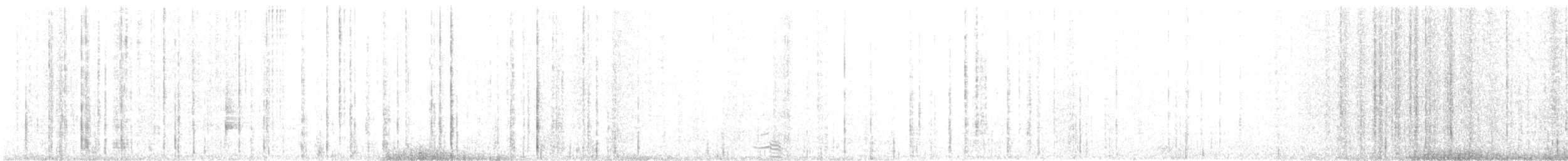 Mongolian Gull - ML646342213