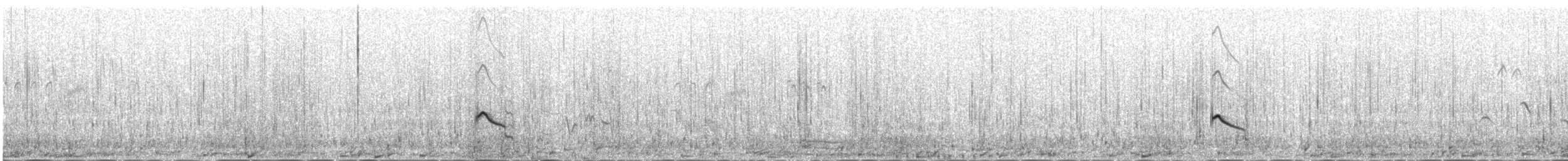 Малый зуёк - ML646342319