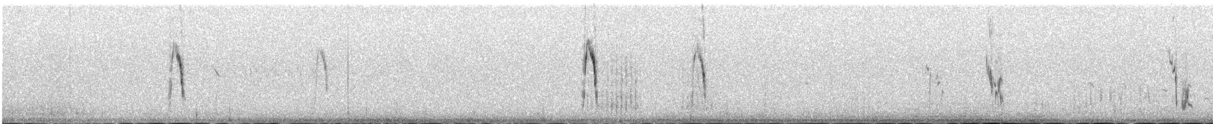 Желтоголовая трясогузка (citreola/werae) - ML646342334