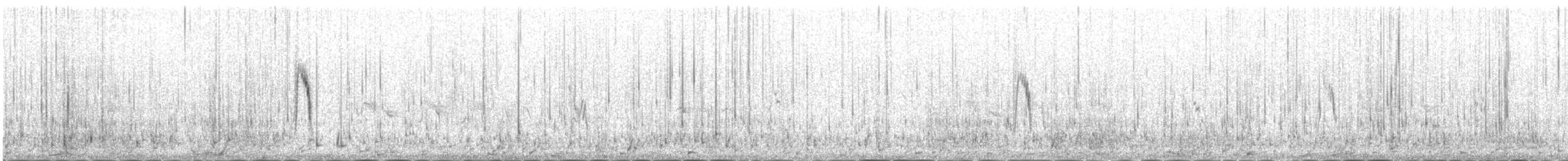 Buztanikara zitrinoa (citreola/werae) - ML646342335