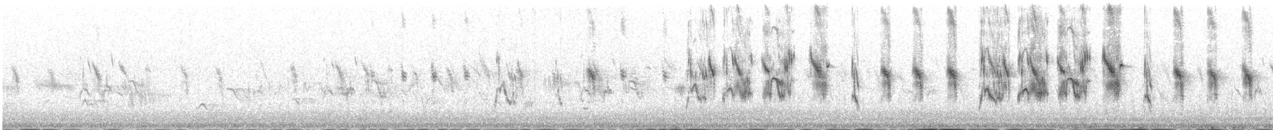 Godlewski txirta - ML646342346