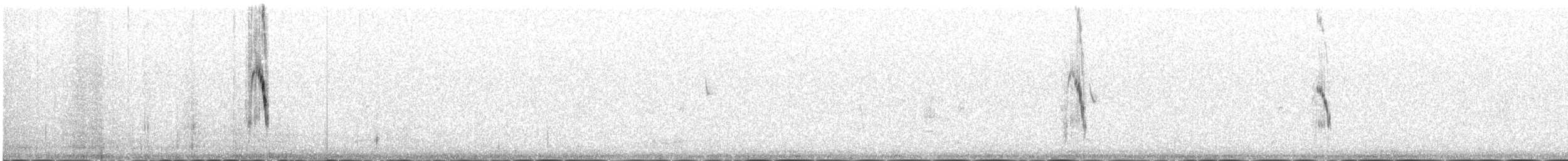 Плиска жовтоголова (підвид citreola/werae) - ML646342425