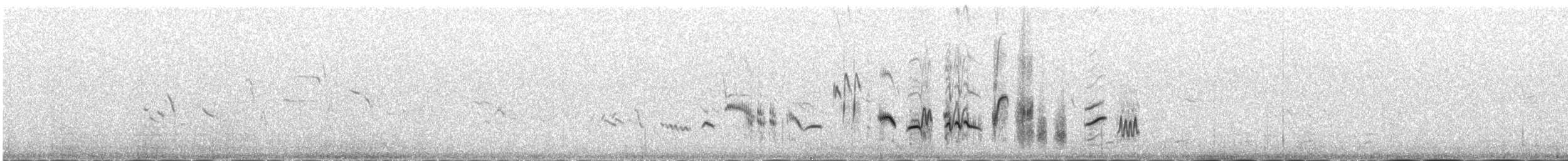 Каменка-плешанка - ML646342459