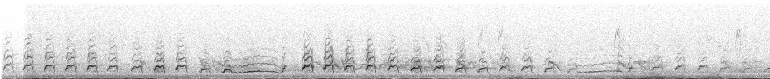 Altaikönigshuhn - ML646342510