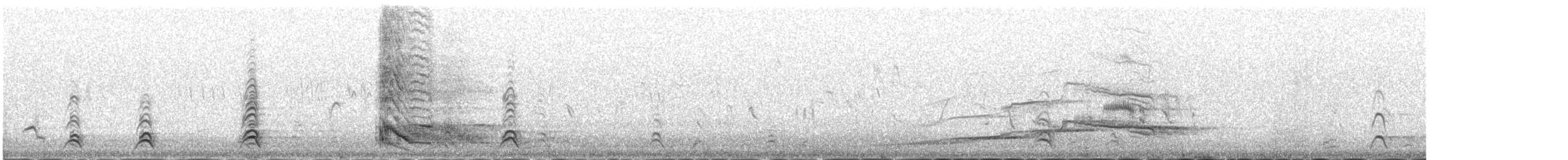 Altai Snowcock - ML646342588