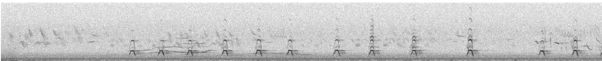 Altaikönigshuhn - ML646342611