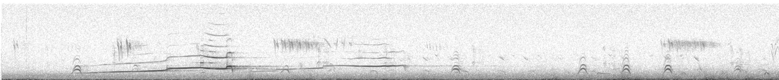 Altaikönigshuhn - ML646342613