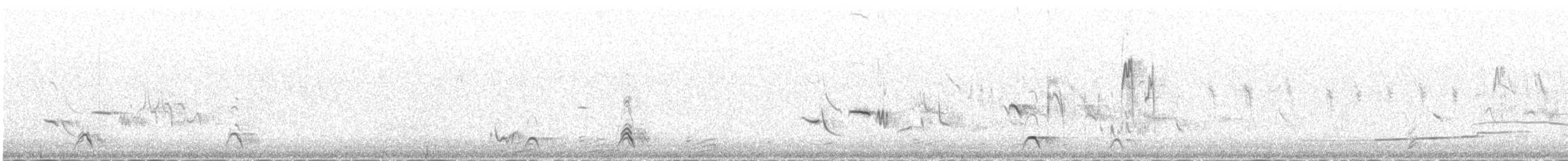 Altaikönigshuhn - ML646342642