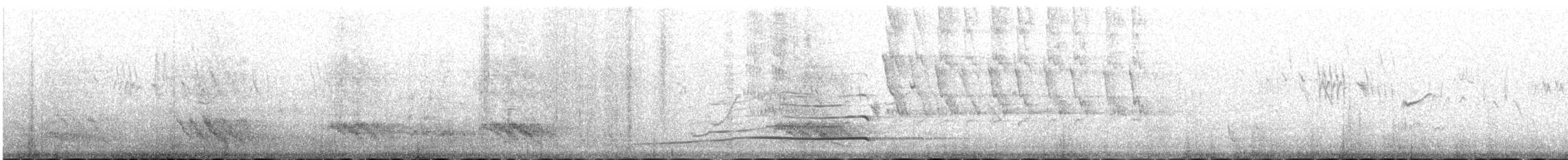 Altaikönigshuhn - ML646342643