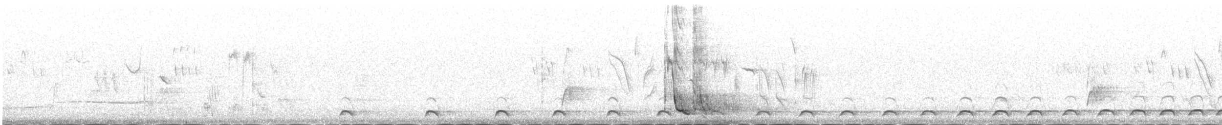 Altaikönigshuhn - ML646342645