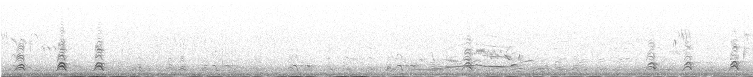 Ruddy Shelduck - ML646342781