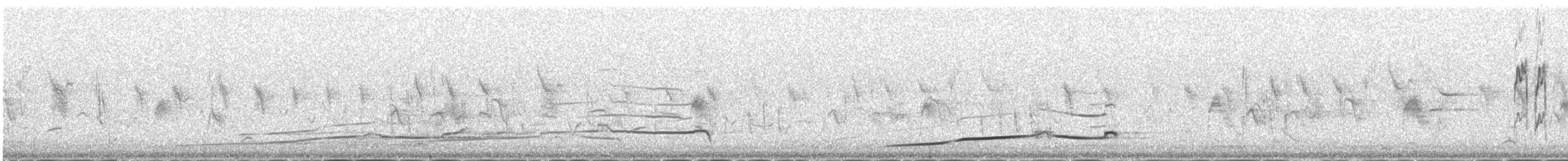 Altay Urkekliği - ML646342879