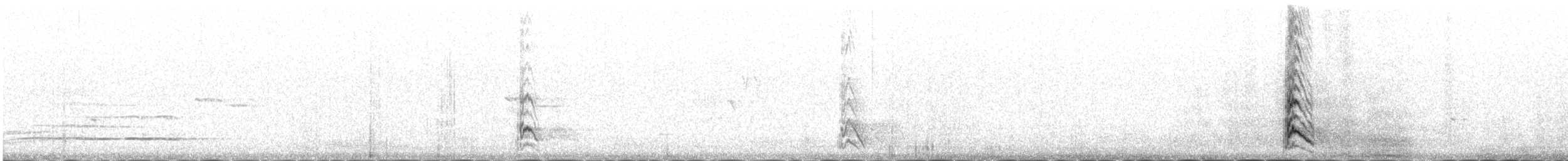 Red-billed Chough - ML646343017