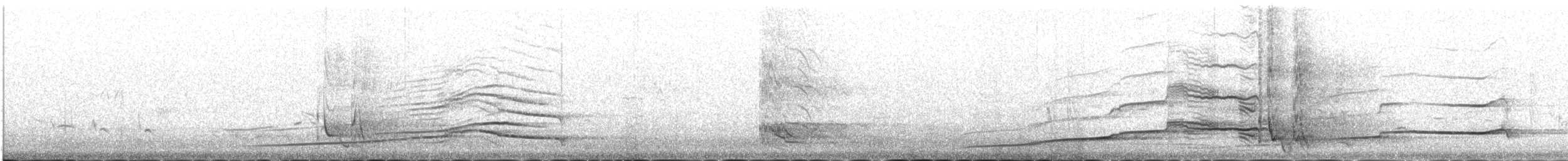 Red-billed Chough - ML646343019