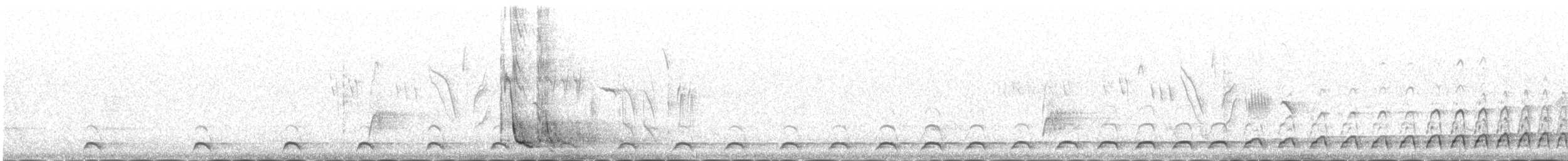 Red-billed Chough - ML646343059