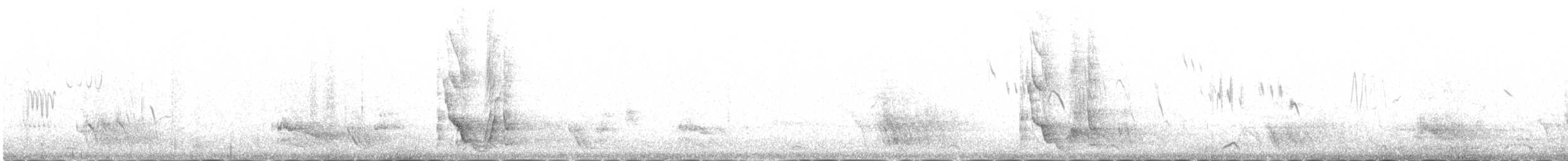 Red-billed Chough - ML646343068