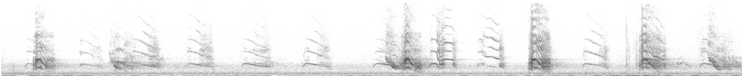 Red-billed Chough - ML646343174