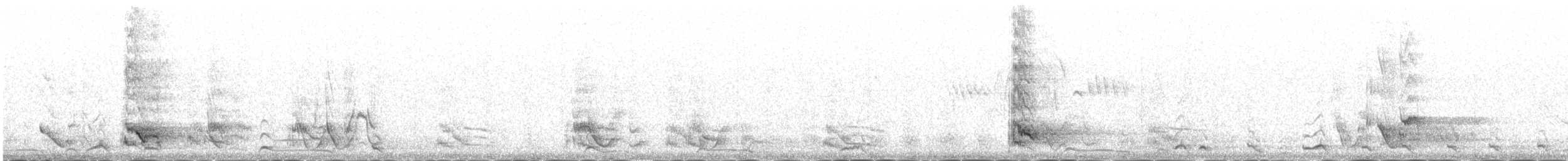 Red-billed Chough - ML646343178