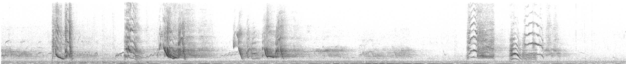 Red-billed Chough - ML646343221