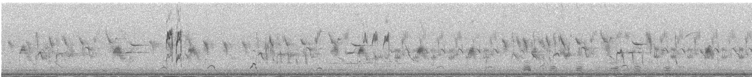 Water Pipit - ML646343250