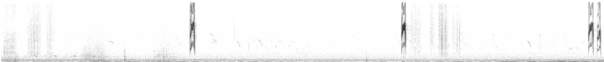 Water Pipit - ML646343252