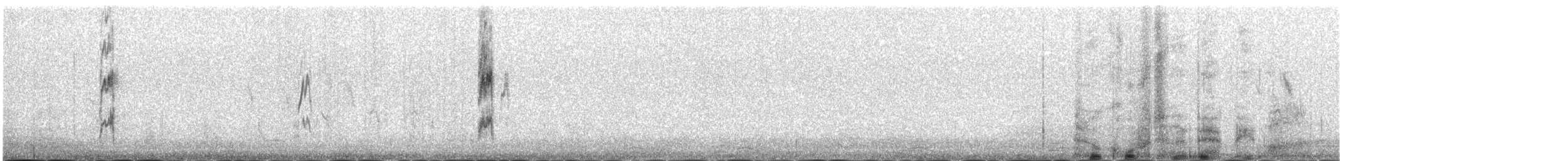 Blyth's Pipit - ML646343282