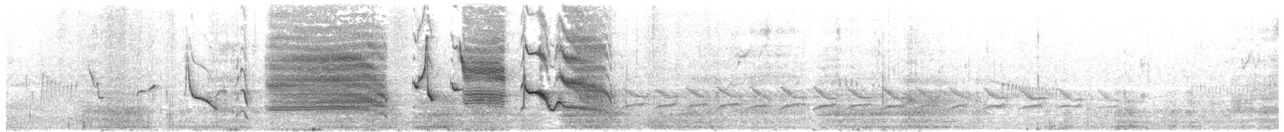 Langschwanzstärling - ML646343635