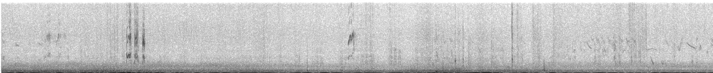 Water Pipit - ML646343652