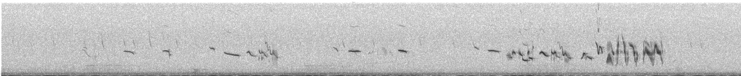 White-throated Bushchat - ML646343892