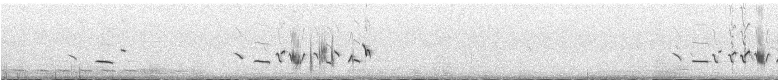 White-throated Bushchat - ML646343895