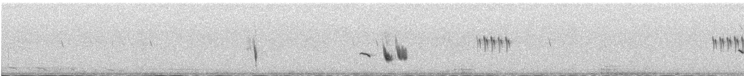 White-throated Bushchat - ML646344009