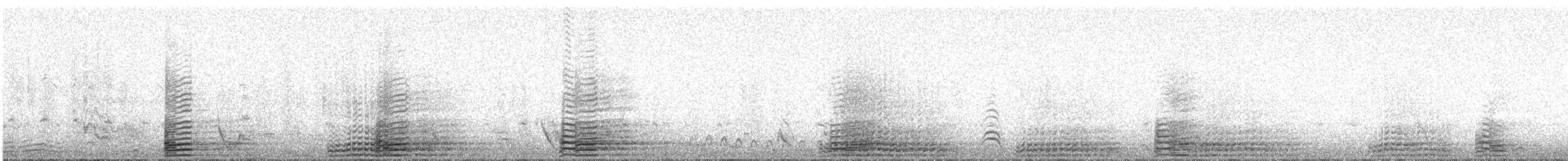 Ruddy Shelduck - ML646344038