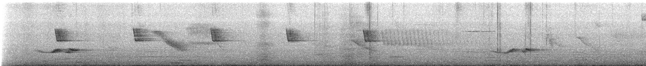 Chiguanco Thrush - ML646344081