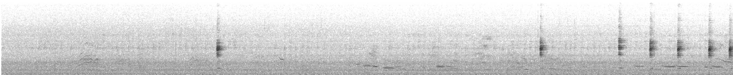 Lewin's Rail - ML646344093