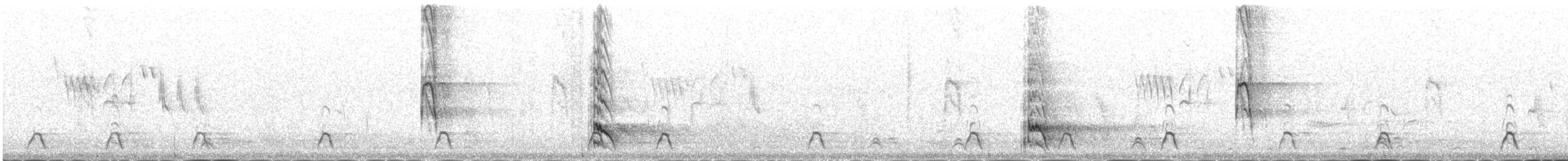 Alpine Pika - ML646344161