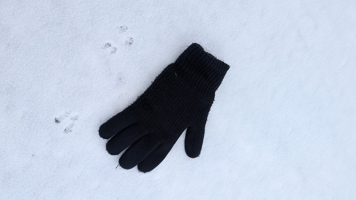 Animals - ML646344298