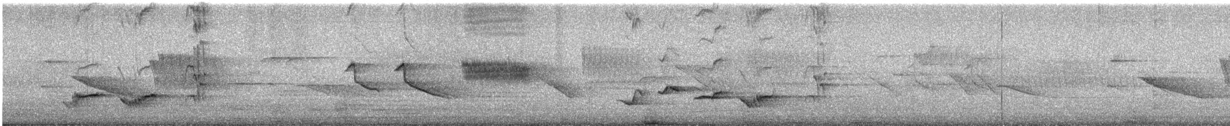 Chiguanco Thrush - ML646344580