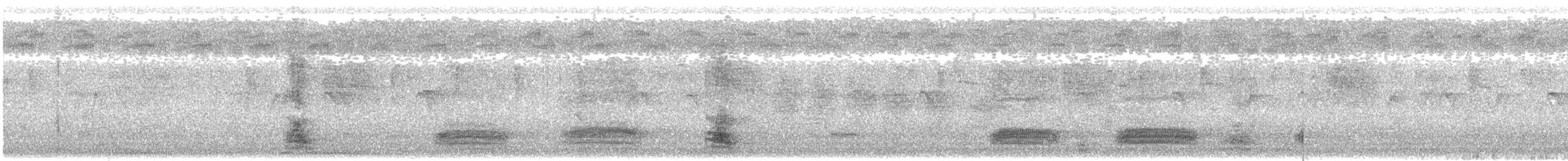 Little Egret - ML646344602