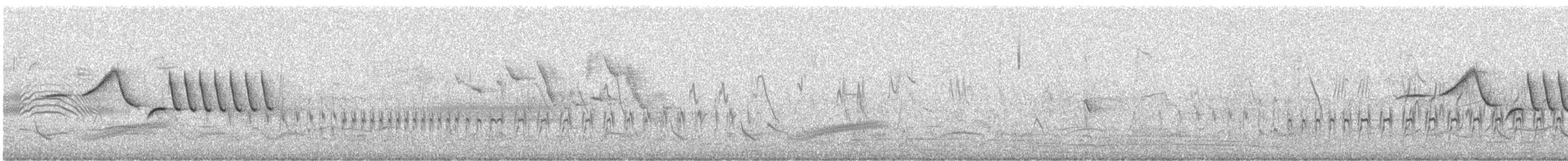 Morgenammer - ML646344640