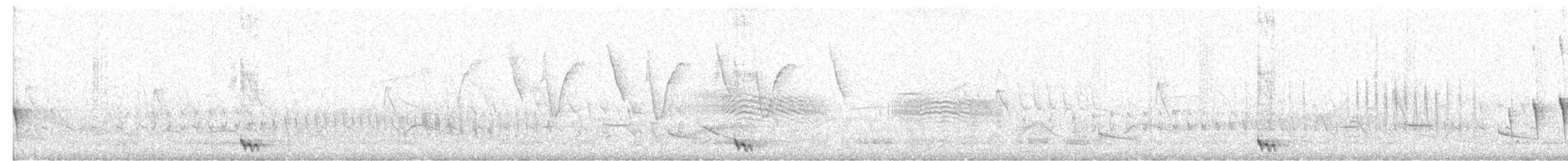 Crested Gallito - ML646345018