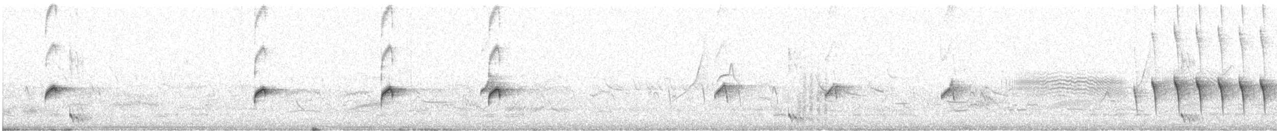 rustpannemarkløper - ML646345232