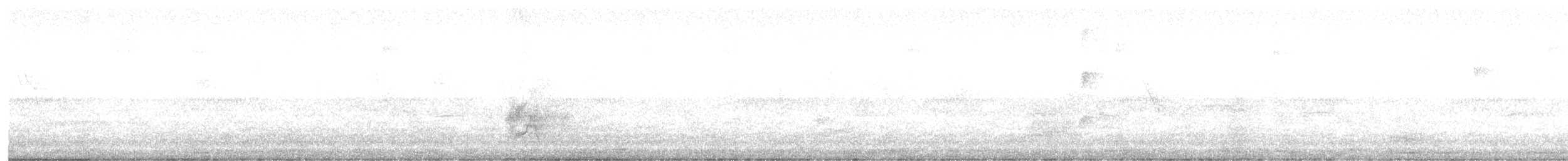 Chalk-browed Mockingbird - ML646345408