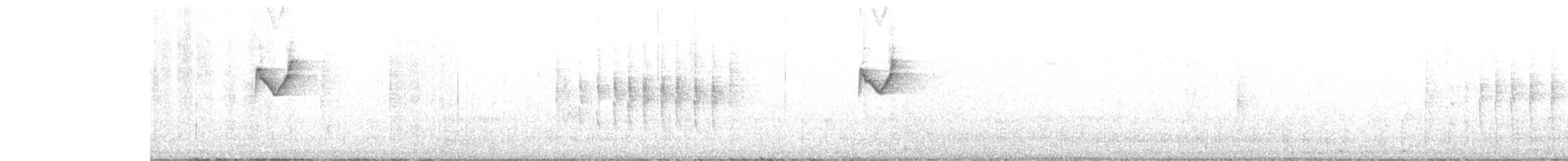 Yellow-browed Warbler - ML646345531