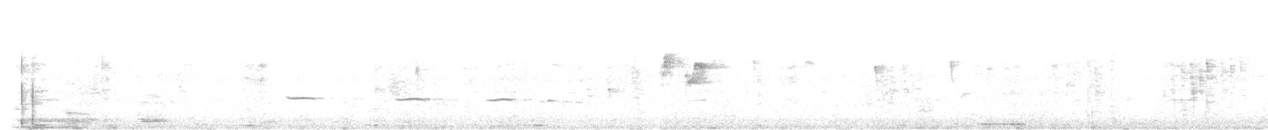 Plaintive Cuckoo - ML646345776