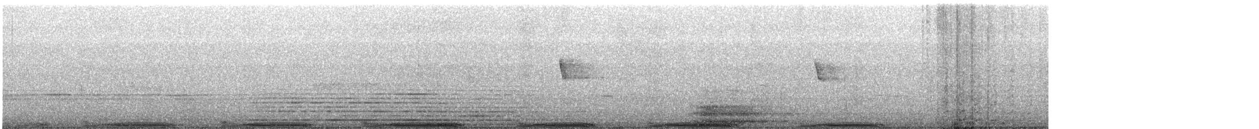 Rock Pigeon (Feral Pigeon) - ML646345844